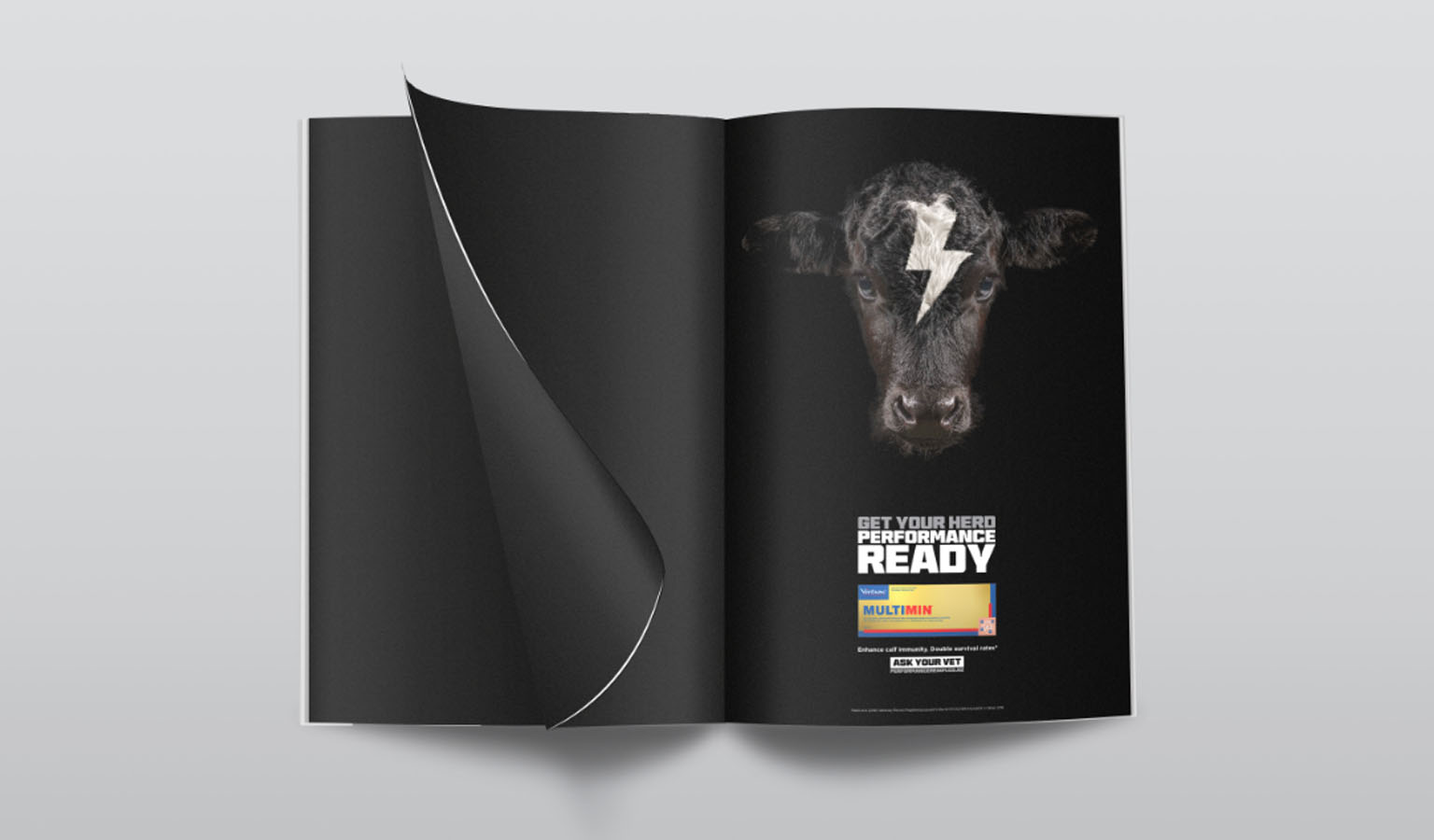 virbac magazine ad design virbac magazine ad design